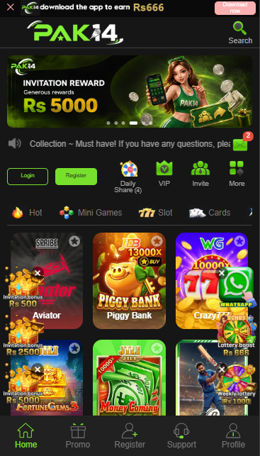 pak14 game home