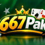667Pak logo